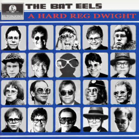 The Bat Eels - A Hard Reg Dwight