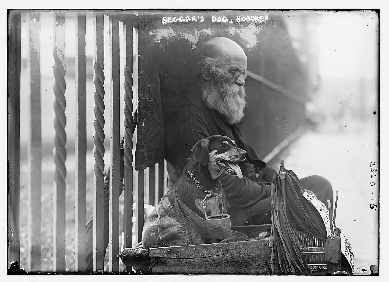 Beggar's dog - Hoboken (LOC) https://flickr.com/photos/library_of_congress/2163816260/