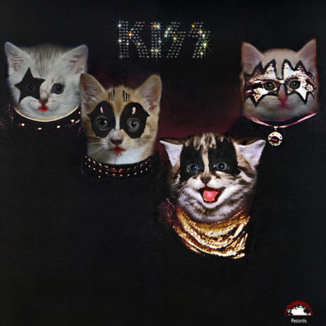 Kitten Covers Kiss