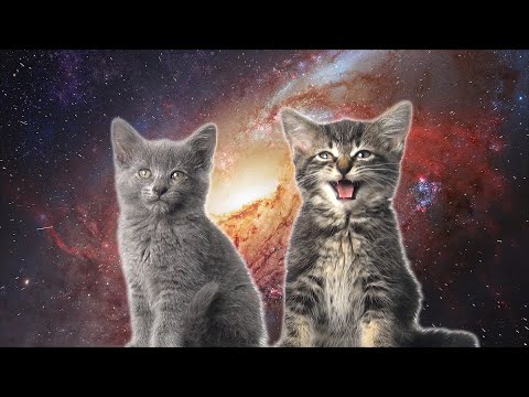 Space – Magic Meow
