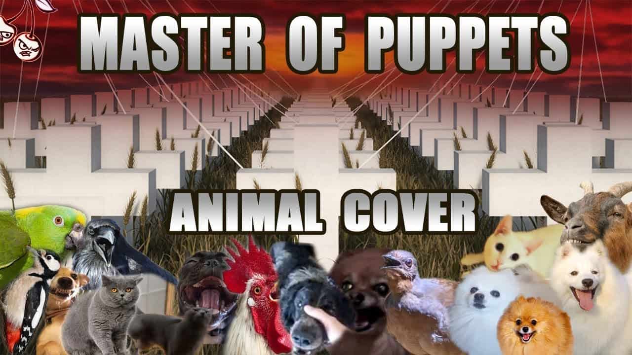Master Of Puppies