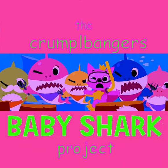 Baby Crumpl Shark